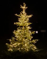 IMG_20201127_180228_907